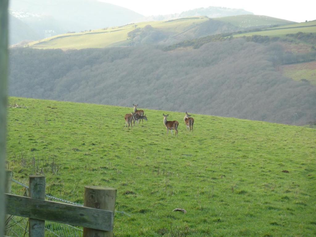 Wilsham Farm Bed & Breakfast Lynton Exterior foto